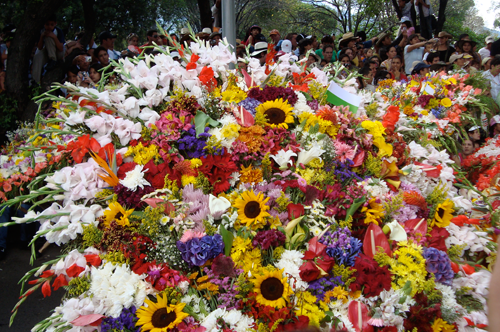 FERIA DE LAS FLORES